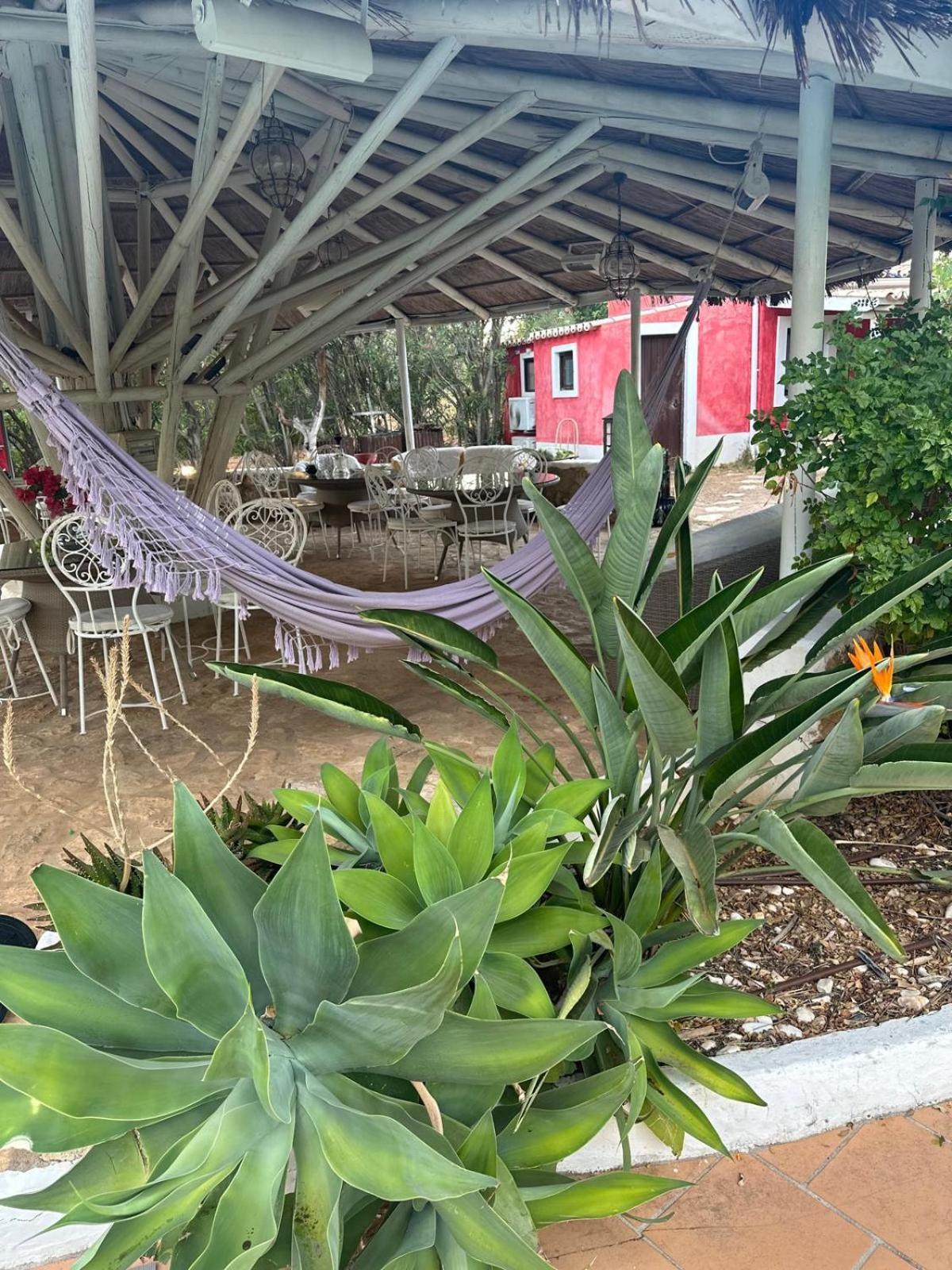 Nuriah Boutique House Hotel โบลิเคมี ภายนอก รูปภาพ
